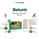 BATUNIR Herbal Medicine 12 Capsules Dissolves Kidney Stones and Facilitates Urination