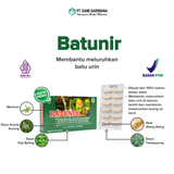 Obat Herbal BATUNIR 12 Kapsul Meluruhkan Batu Ginjal dan Melancarkan Buang Air Kecil