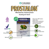 Prostalon 100 Pills Herbal Medicine Maintains Prostate Health