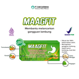 Obat Herbal MAAGFIT Strip (30 Kapsul) Meringankan MAAG dan Gangguan Lambung